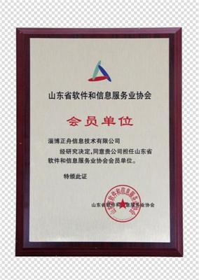 手機(jī)端網(wǎng)站制作與網(wǎng)絡(luò)技術(shù)咨詢 山東正舟的專業(yè)實(shí)踐