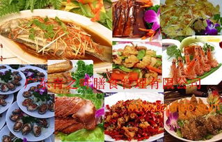 青之葉膳食 實力鑄就卓越，專業承包惠州學校食堂的優質選擇